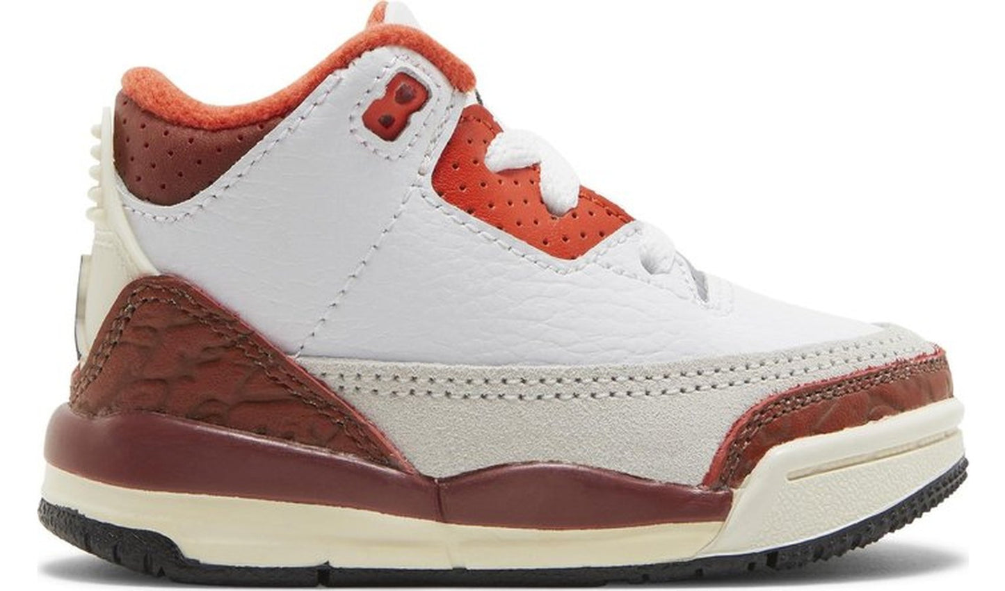 Jordan 3 Retro SE Dunk on Mars (TD)