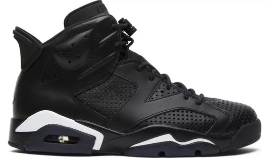 Jordan 6 Black Cat